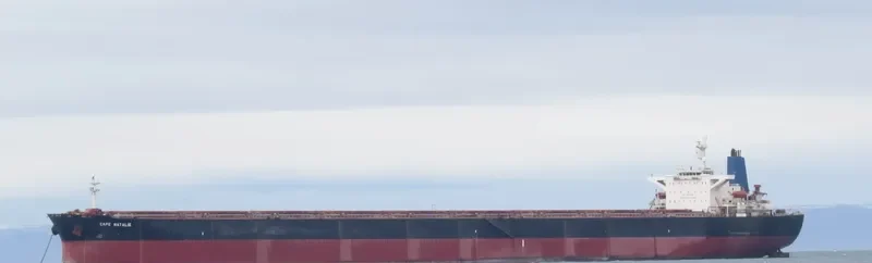 CAPE NATALIE Bulk Carrier IMO 9181118 photo 2
