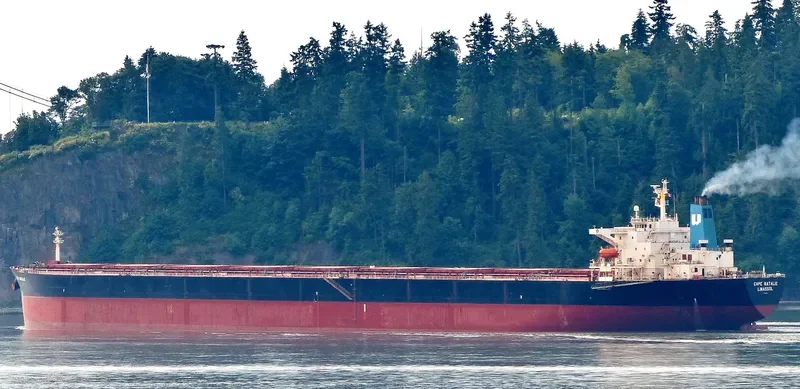 CAPE NATALIE Bulk Carrier IMO 9181118 photo 5