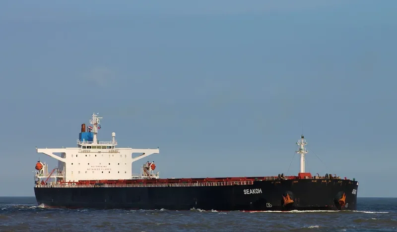CAPE NATALIE Bulk Carrier IMO 9181118 photo 8