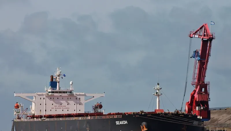 CAPE NATALIE Bulk Carrier IMO 9181118 photo 9