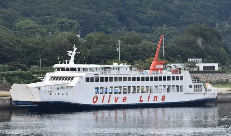 OLIVE MARU Passenger Ship IMO 9181261 photo 6