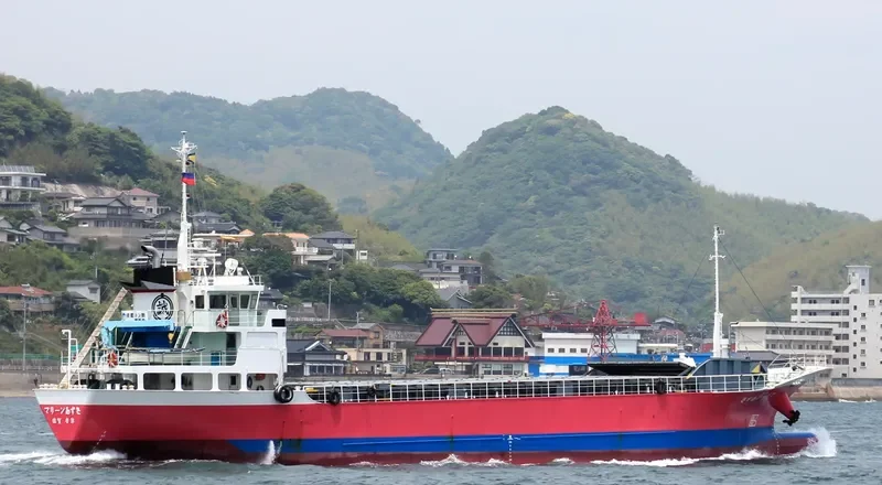 MARINE AZUSA General Cargo IMO 9181338
