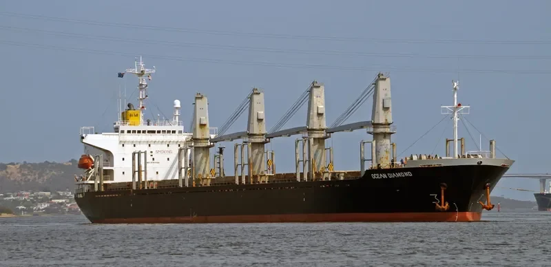 FOURTHMAN 1 Bulk Carrier IMO 9181508