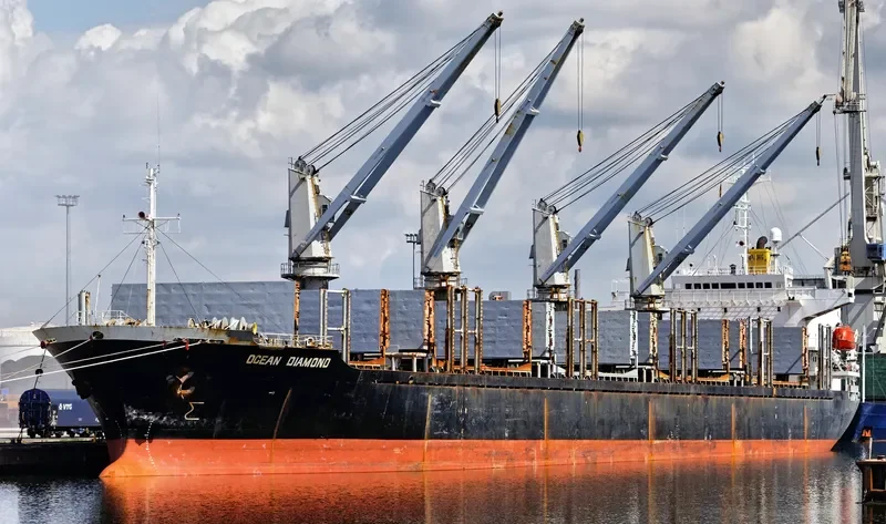 FOURTHMAN 1 Bulk Carrier IMO 9181508 photo 3