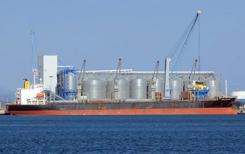 FOURTHMAN 1 Bulk Carrier IMO 9181508 photo 5