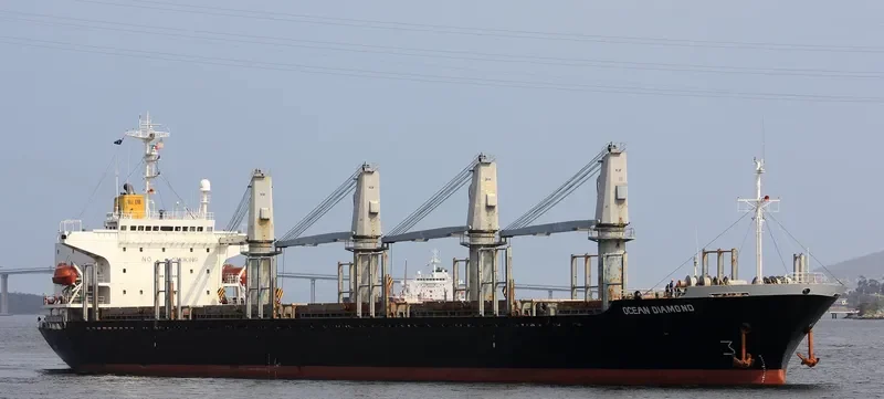 FOURTHMAN 1 Bulk Carrier IMO 9181508 photo 6
