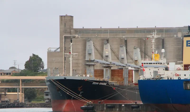FOURTHMAN 1 Bulk Carrier IMO 9181508 photo 8