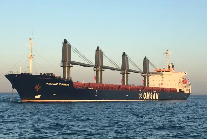 FORTUNE EXPRESS Bulk Carrier IMO 9181728
