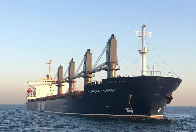 FORTUNE EXPRESS Bulk Carrier IMO 9181728 photo 2