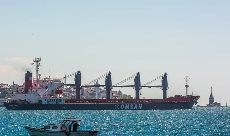 FORTUNE EXPRESS Bulk Carrier IMO 9181728 photo 5
