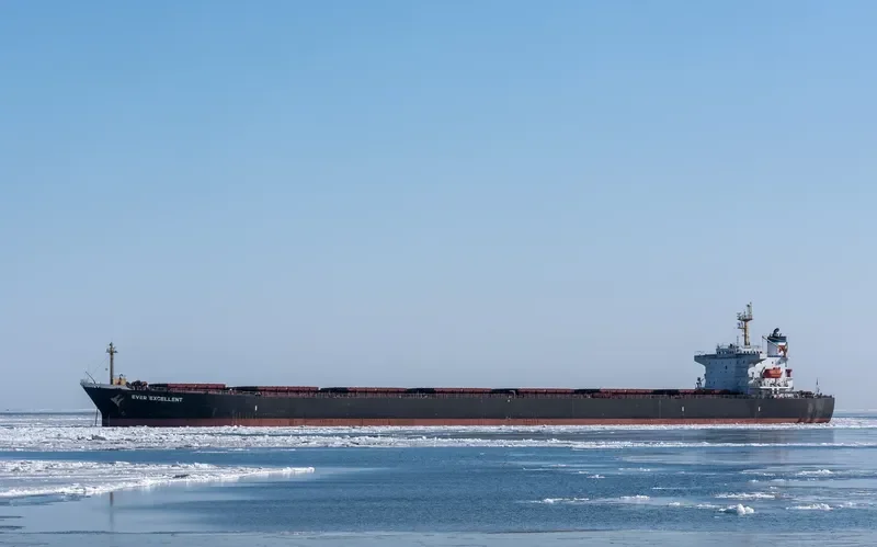EVER EXCELLENT Bulk Carrier IMO 9182174 photo 2