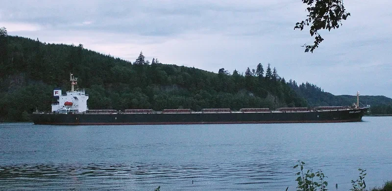 HUA JIANG 801 Bulk Carrier IMO 9182186