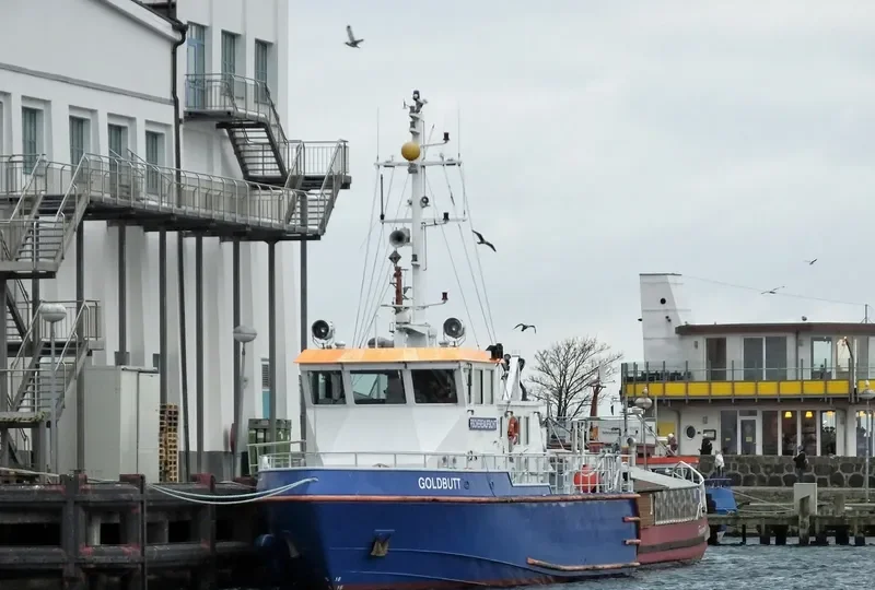 GOLDBUTT General Cargo IMO 9182382