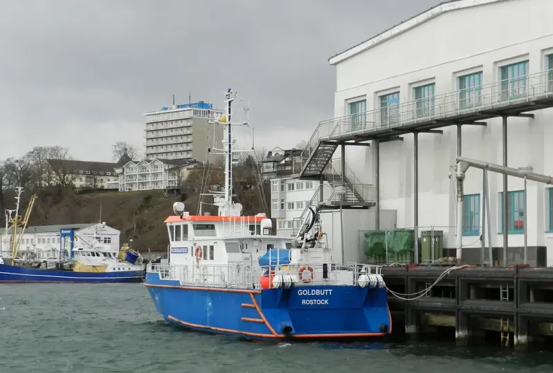 GOLDBUTT General Cargo IMO 9182382 photo 6