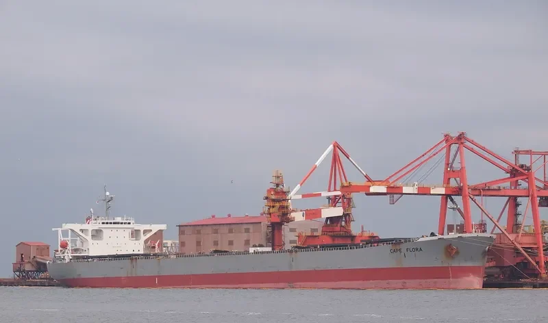 CAPE FLORA Bulk Carrier IMO 9182629 photo 3
