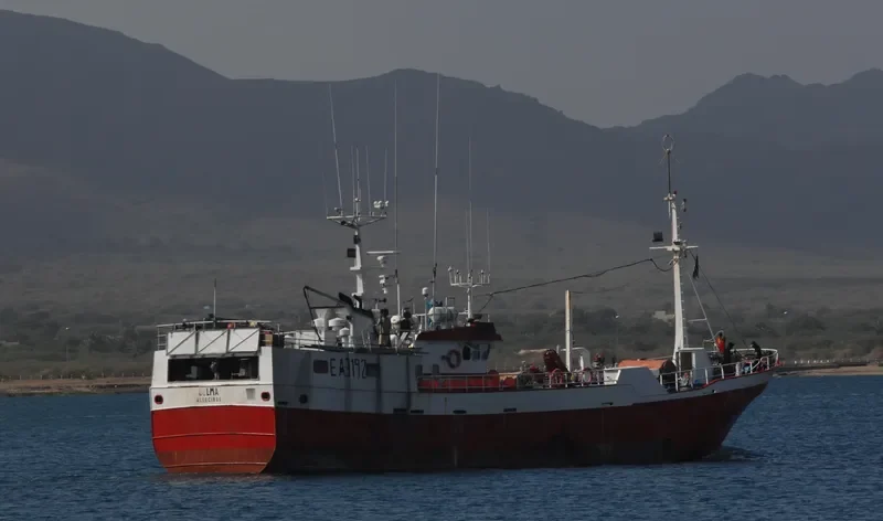 BELMA General Cargo IMO 9183104 photo 7