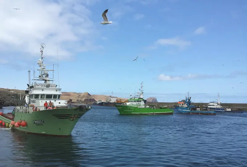 AZIMUTE General Cargo IMO 9183116 photo 7