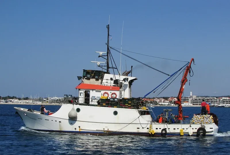 RADULA General Cargo IMO 9183180 photo 4