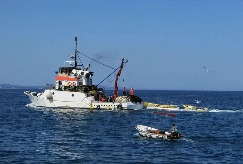 RADULA General Cargo IMO 9183180 photo 7