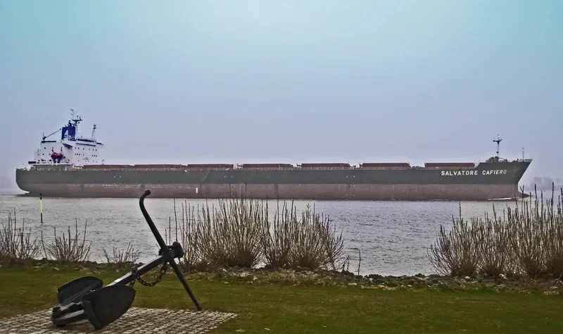 XIN WU ZHOU 1 Bulk Carrier IMO 9183221