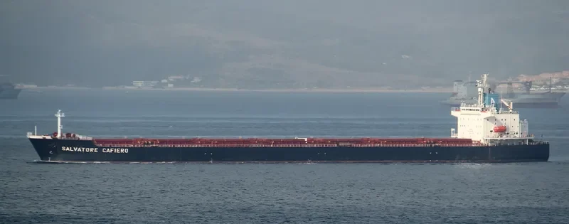 XIN WU ZHOU 1 Bulk Carrier IMO 9183221 photo 2