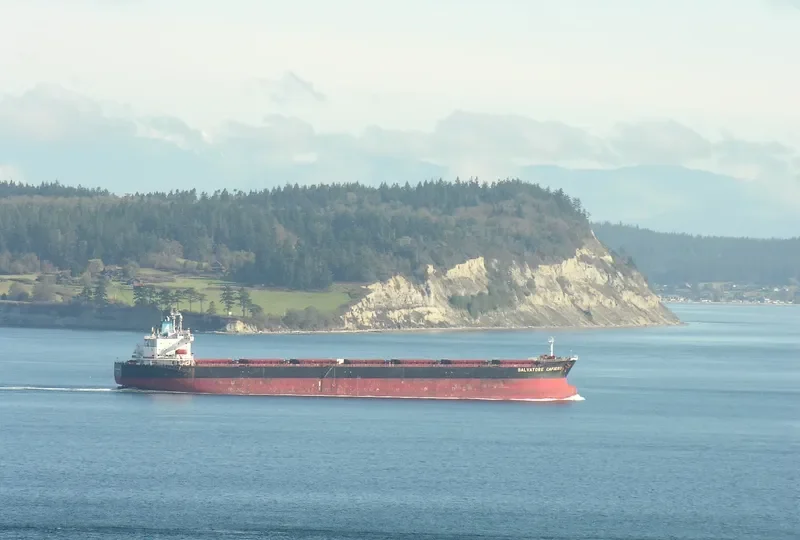 XIN WU ZHOU 1 Bulk Carrier IMO 9183221 photo 7