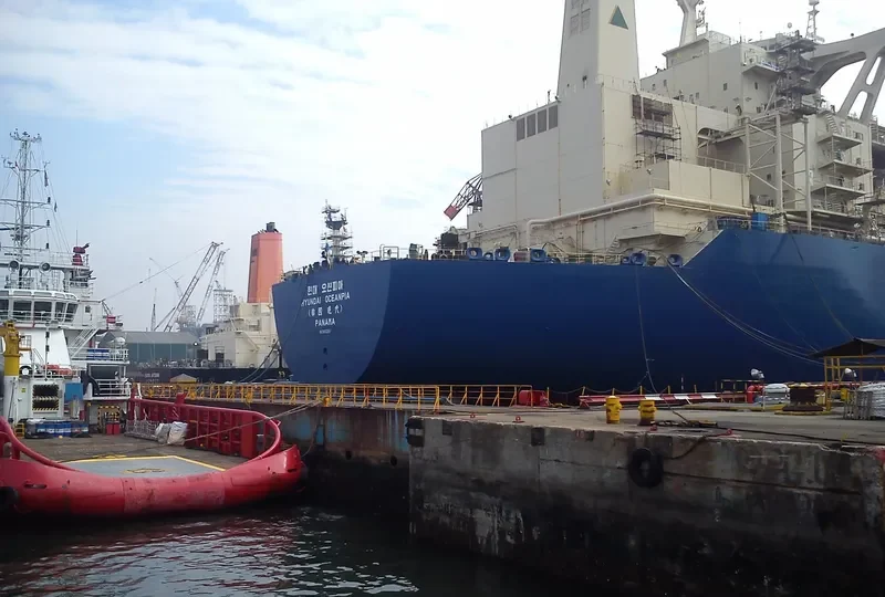 HYUNDAI OCEANPIA General Cargo IMO 9183269 photo 2