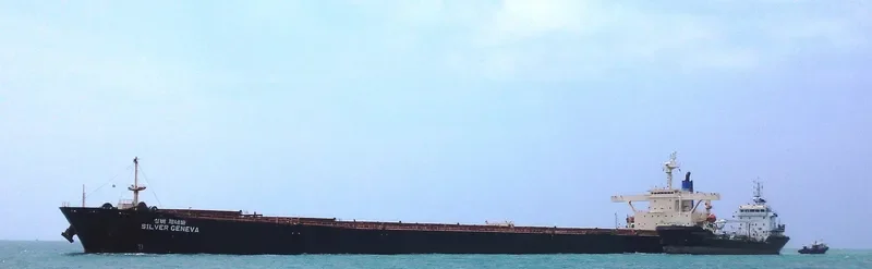 SILVER GENEVA Bulk Carrier IMO 9183336