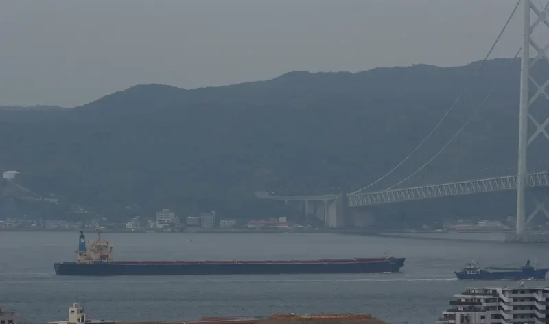 SILVER GENEVA Bulk Carrier IMO 9183336 photo 2