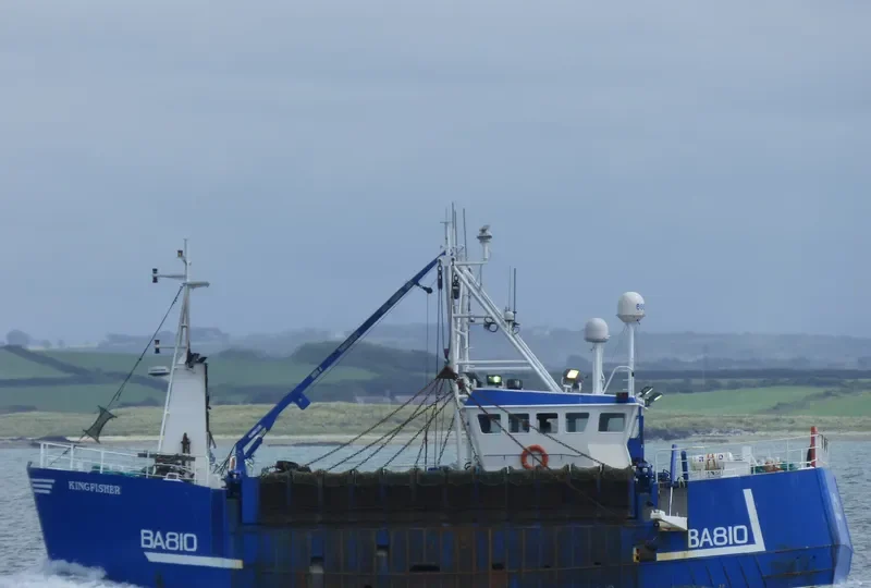 KINGFISHER General Cargo IMO 9183714