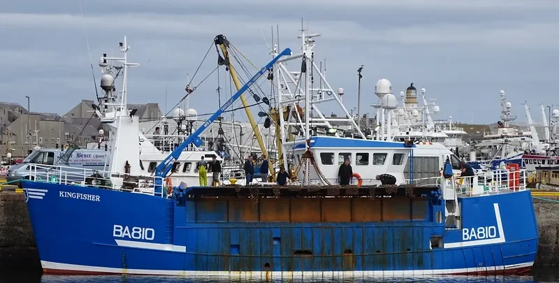 KINGFISHER General Cargo IMO 9183714 photo 2