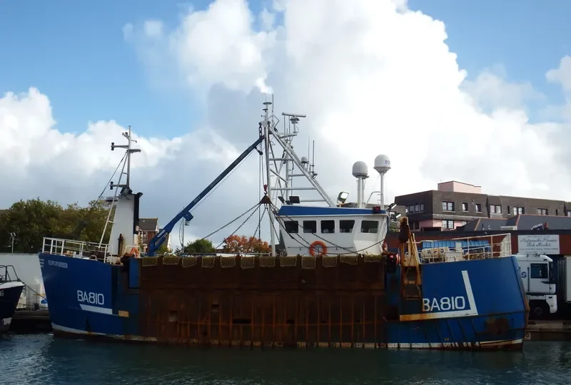 KINGFISHER General Cargo IMO 9183714 photo 6