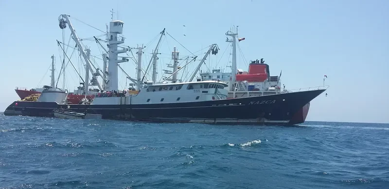 NAZCA General Cargo IMO 9183738
