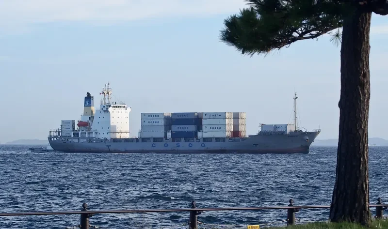 UMEKO Container Ship IMO 9184213