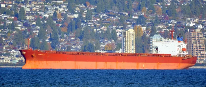 XIN YUAN XIANG Bulk Carrier IMO 9184835 photo 5