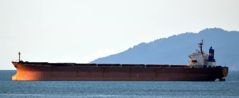 XIN YUAN XIANG Bulk Carrier IMO 9184835 photo 6