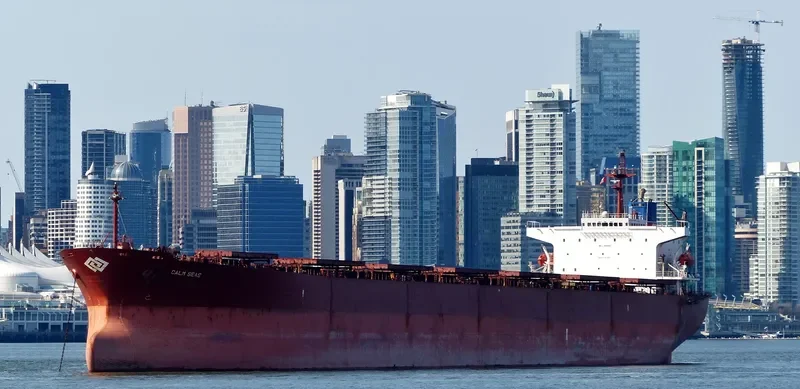 XIN YUAN XIANG Bulk Carrier IMO 9184835 photo 10