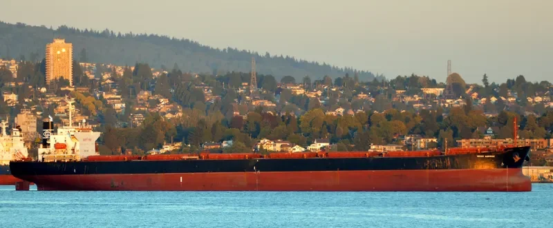 NS NINGBO Bulk Carrier IMO 9184914 photo 10