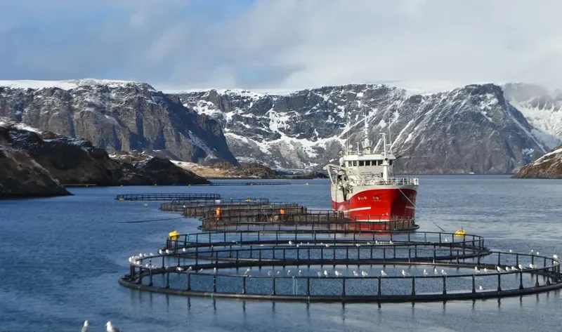 HARHAUG I General Cargo IMO 9185035 photo 3