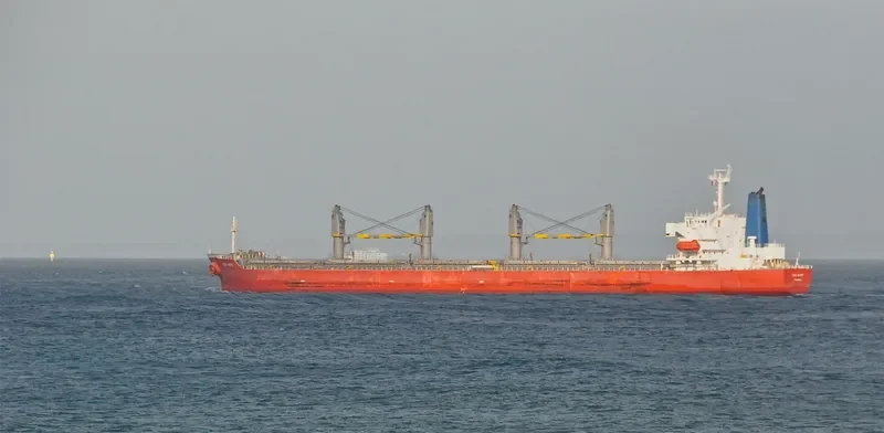 GUO DIAN 32 Bulk Carrier IMO 9185059