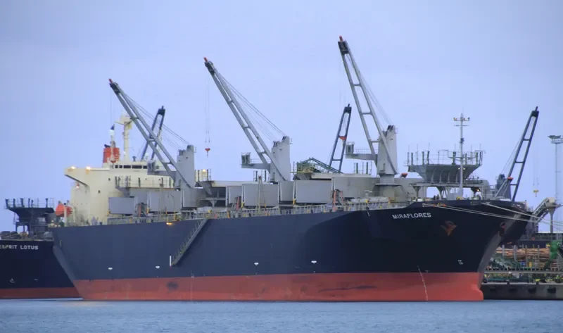 MIRAFLORES Bulk Carrier IMO 9185061 photo 3