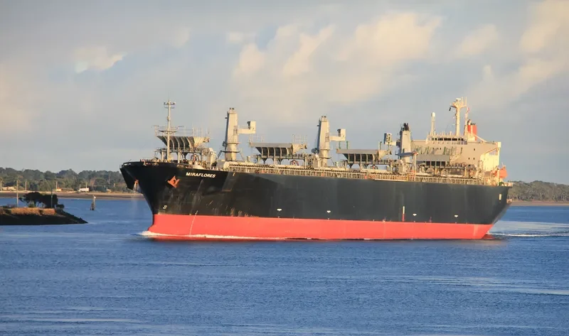 MIRAFLORES Bulk Carrier IMO 9185061 photo 6