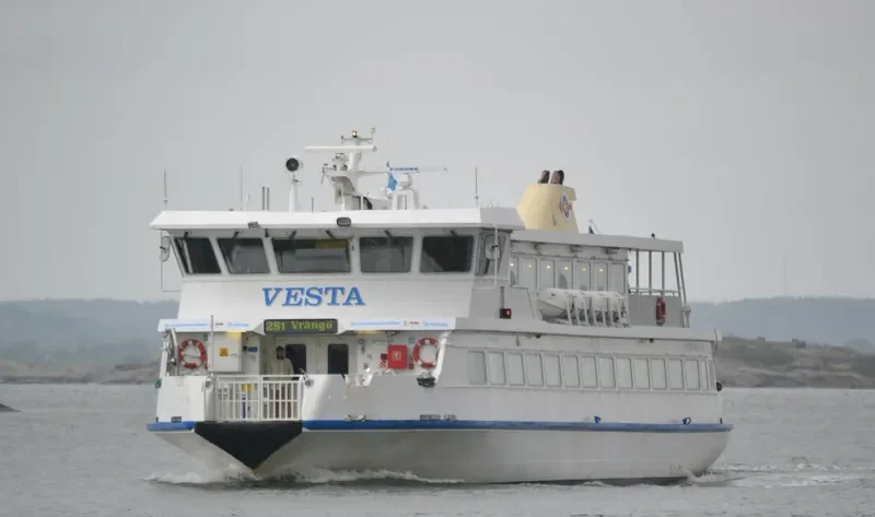 VESTA Passenger Ship IMO 9185102 photo 3