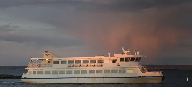 VESTA Passenger Ship IMO 9185102 photo 5