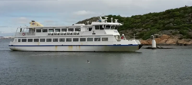 VESTA Passenger Ship IMO 9185102 photo 6