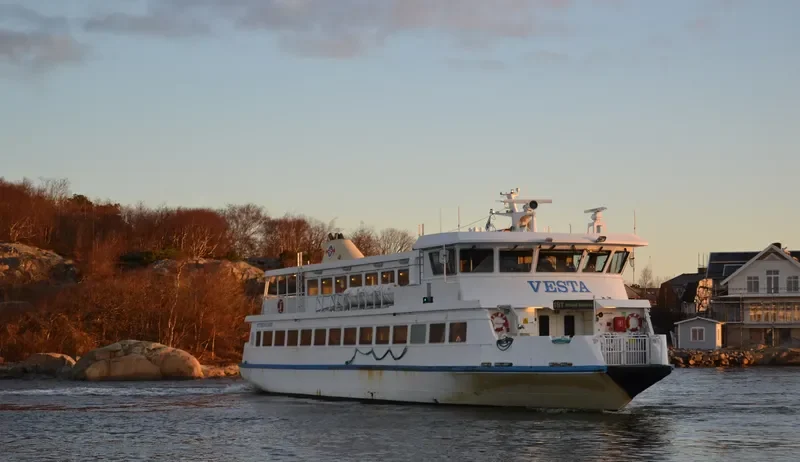 VESTA Passenger Ship IMO 9185102 photo 8