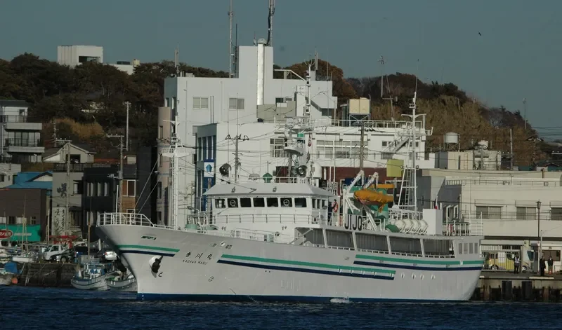 ALTYN General Cargo IMO 9185114 photo 5