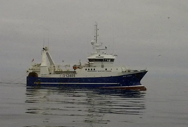 RAW SPIRIT General Cargo IMO 9185188 photo 10