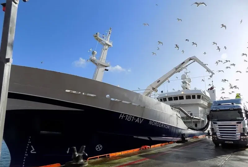NORDERVON General Cargo IMO 9185190 photo 4