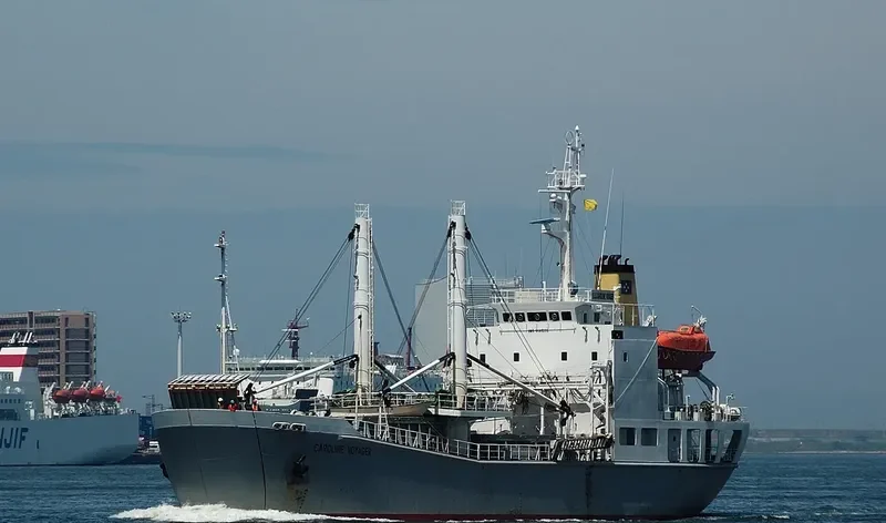 CAROLINE VOYAGER General Cargo IMO 9185255 photo 2